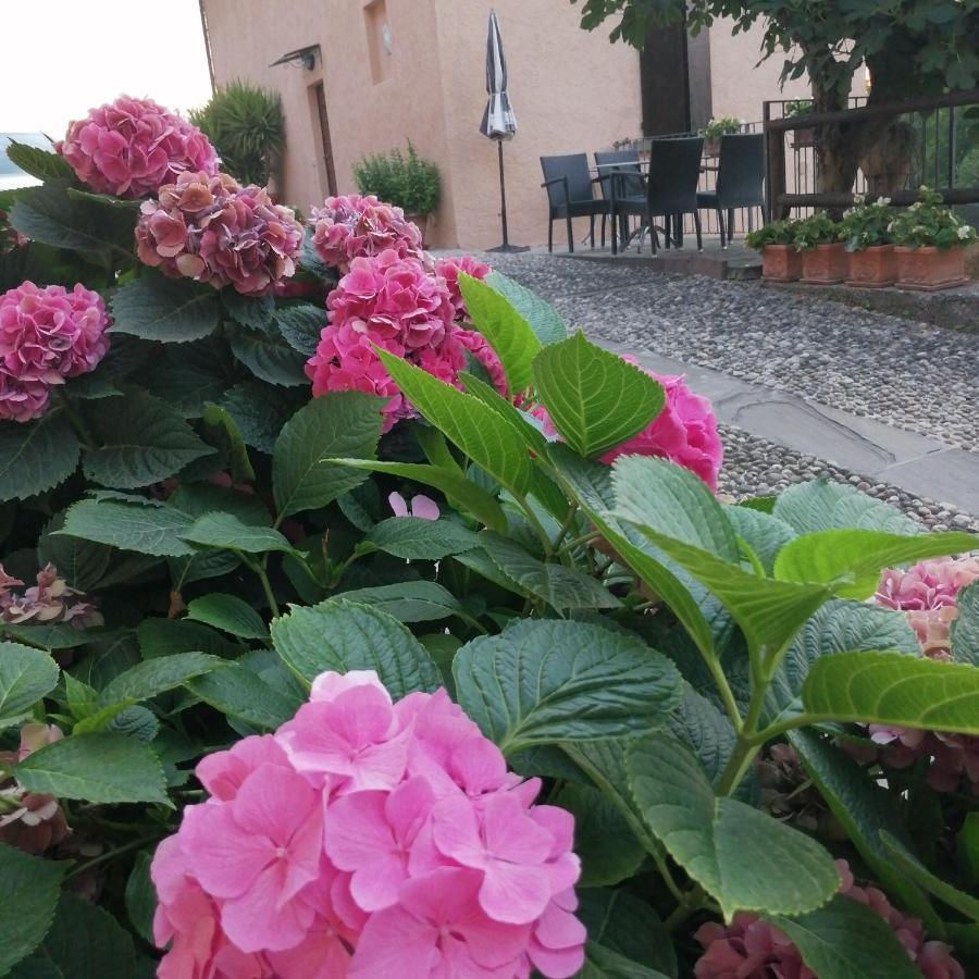 B&B Ronco Degli Ulivi Iseo Buitenkant foto